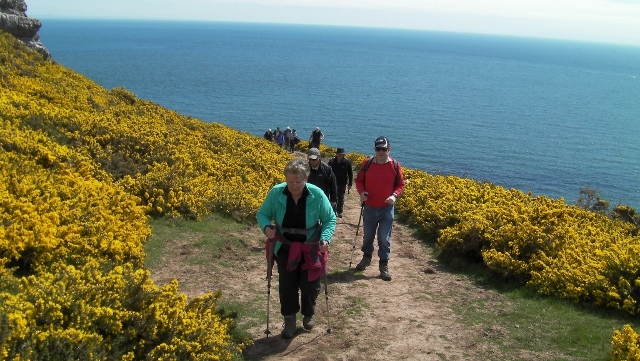 Nearly at the top